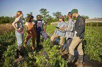 Can Young Farmers Afford Climate-Smart Agriculture? - The Profitability Challenge Explained